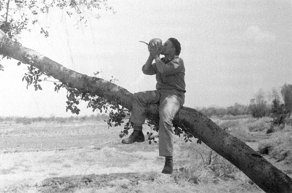 Militair met baret drinkt melk uit een kokosnoot gezeten op de stam van een boom, Bestanddeelnr 50-1-6