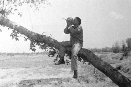 Militair met baret drinkt melk uit een kokosnoot gezeten op de stam van een boom, Bestanddeelnr 50-1-6