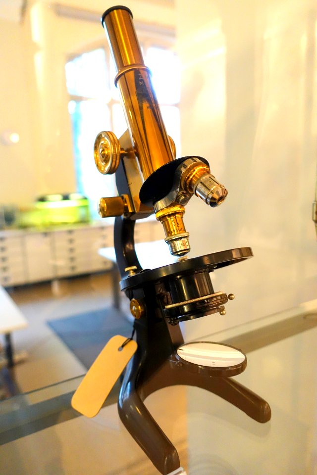 Mikroskop, W. & H. Seibert, Wetzlar, 1910 - Museum fur Naturkunde, Berlin - DSC00157