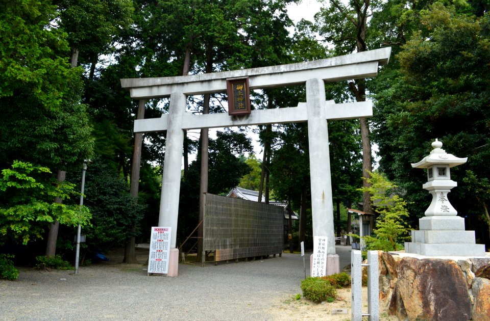 Mikami-jinja torii-2
