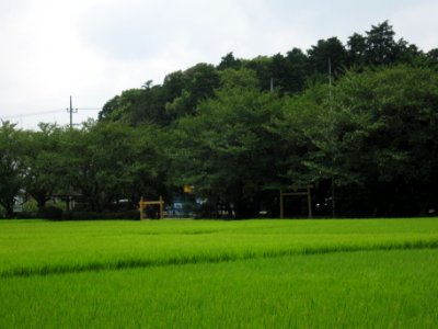 Mikami-jinja yuukisaiden