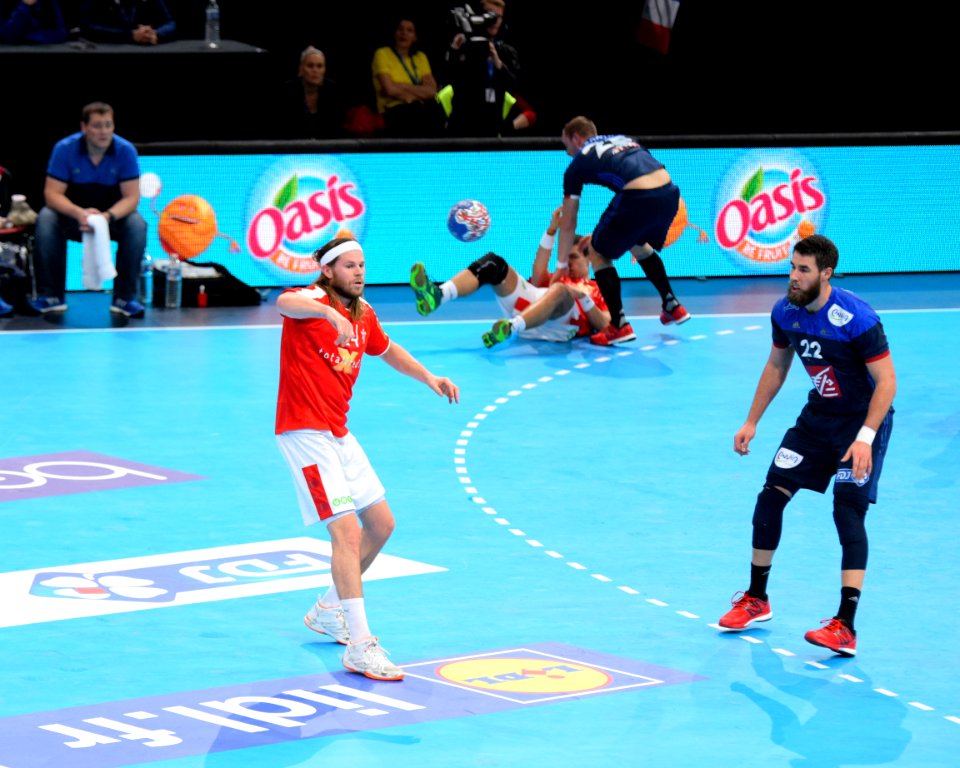 Mikkel Hansen et Luka Karabatic-20160110