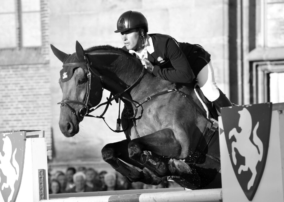 Equestrian horse jumping black white