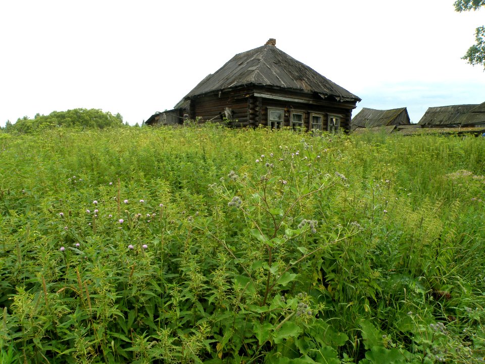Mikhali, Vladimir Oblast
