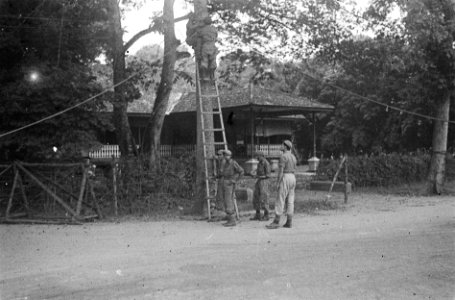 Militair staat op een trap tegen een boom om een kabel of touw vast te maken. Li, Bestanddeelnr 5863