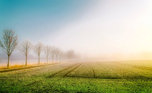 Field agriculture farm photo