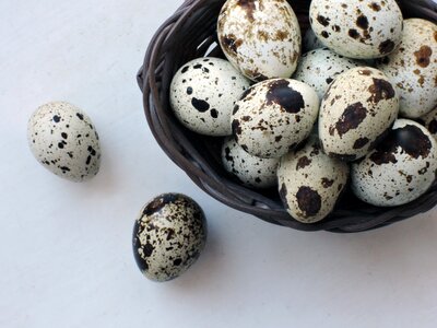 Quail products food