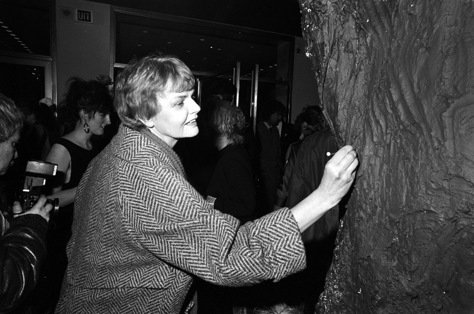 MischaDeVreede1986