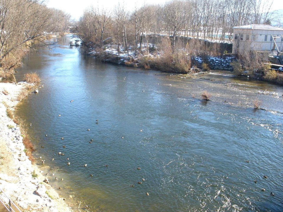 Miranda de Ebro - Río Ebro 06