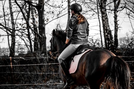 Ride sport equestrian photo