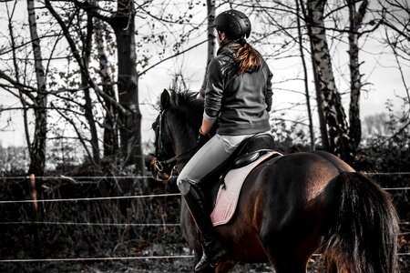 Ride sport equestrian