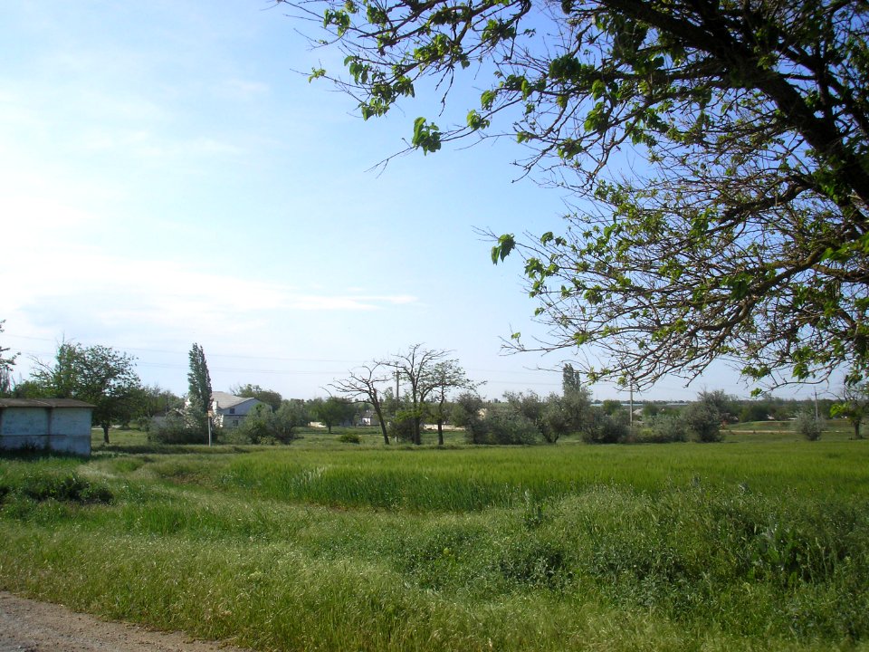 Mirnovka 8