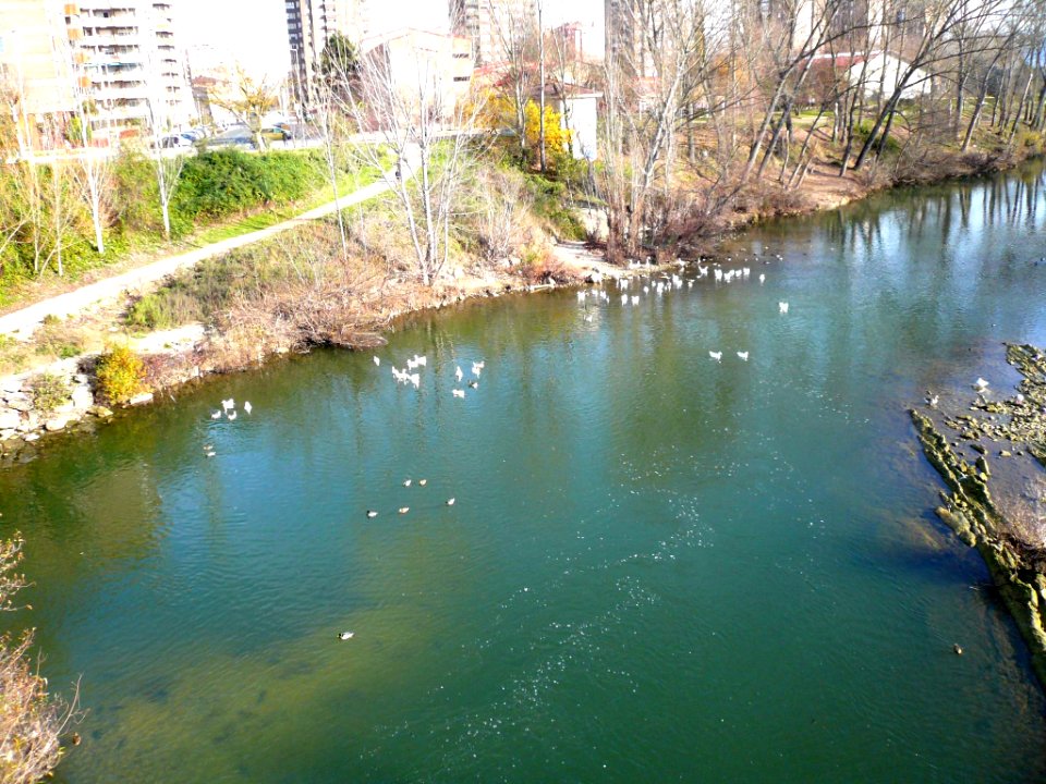 Miranda de Ebro - Río Ebro desde el Puente Nuevo 01