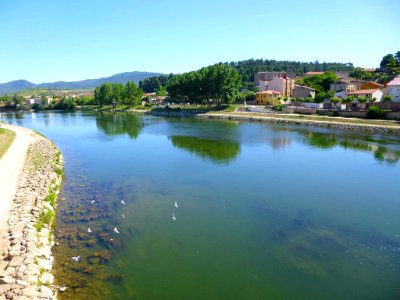 Miranda de Ebro - Río Ebro 01