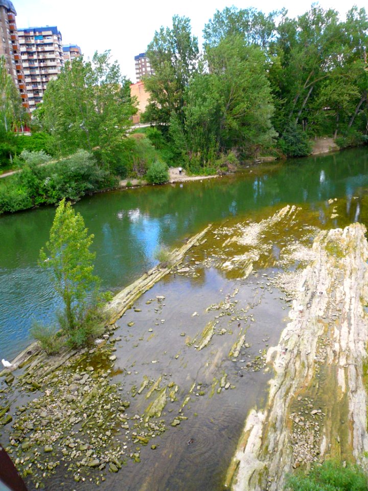 Miranda de Ebro - Río Ebro desde el Puente de Hierro 4