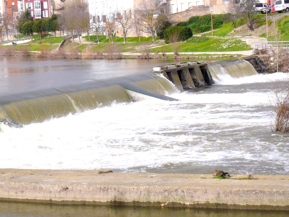 Miranda de Ebro - Río Ebro 20