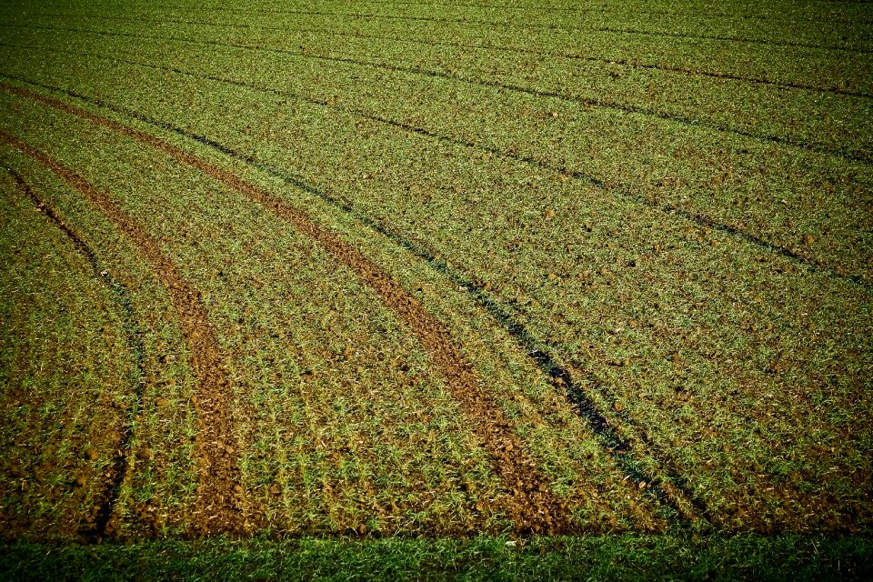 Arable agriculture ground