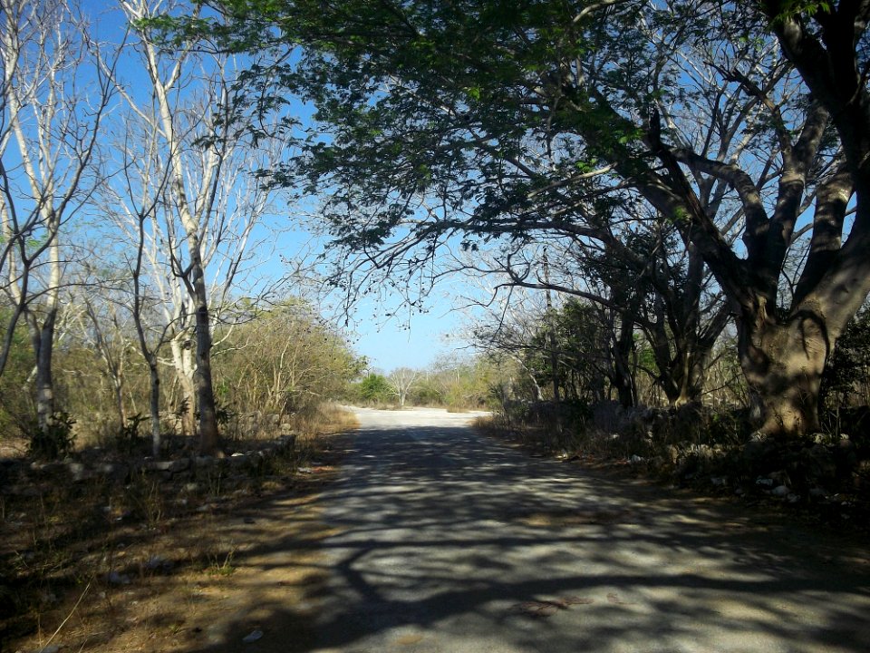 Misnebalam, Yucatán (16)