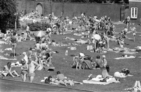 Mirandabad Amsterdam, zonnebaders op grasveld, Bestanddeelnr 924-7153