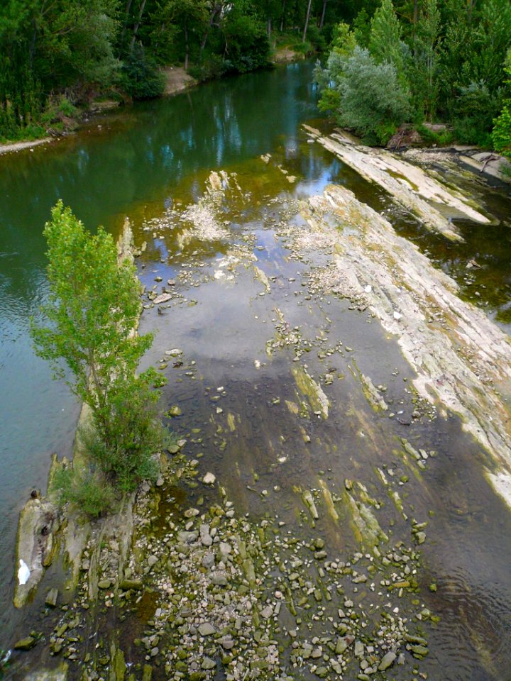 Miranda de Ebro - Río Ebro desde el Puente de Hierro 3