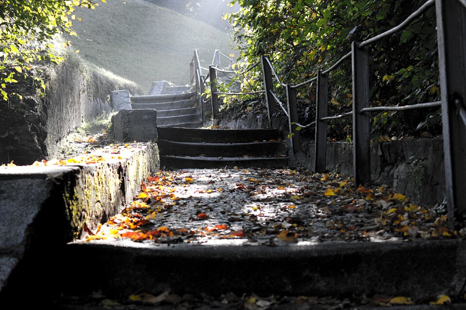 Fairy tales sun shadow