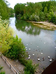 Miranda de Ebro - Río Ebro desde el Puente de Hierro 1