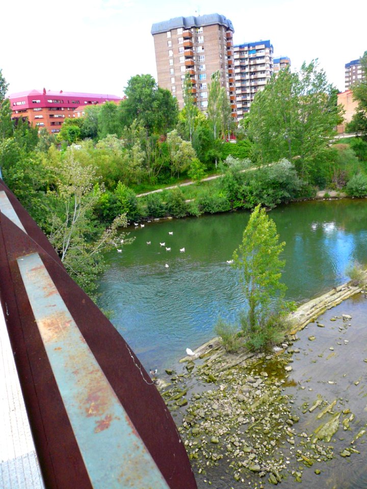 Miranda de Ebro - Río Ebro desde el Puente de Hierro 5