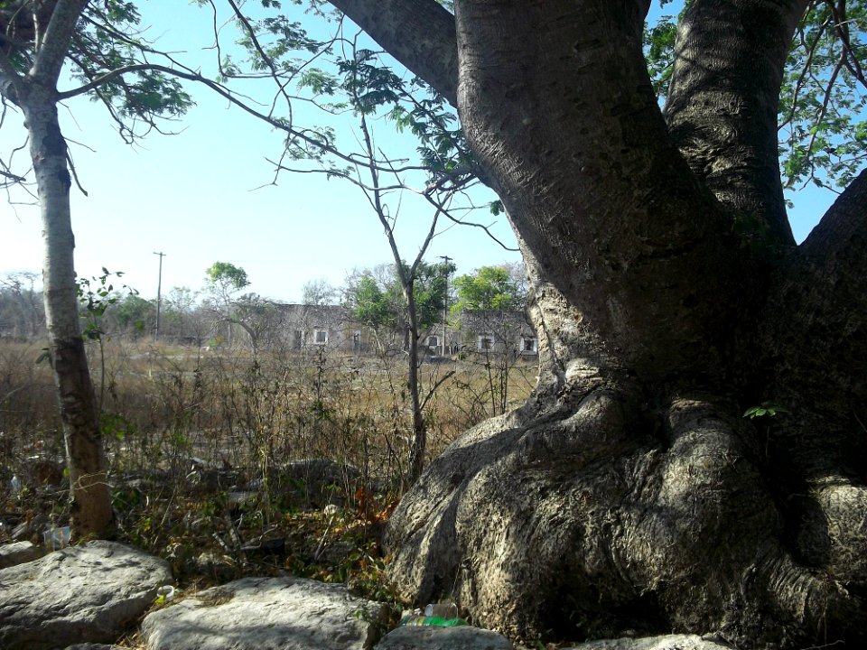 Misnebalam, Yucatán (19)
