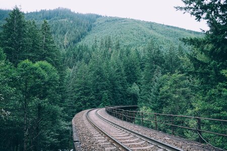 Green guidance mountain