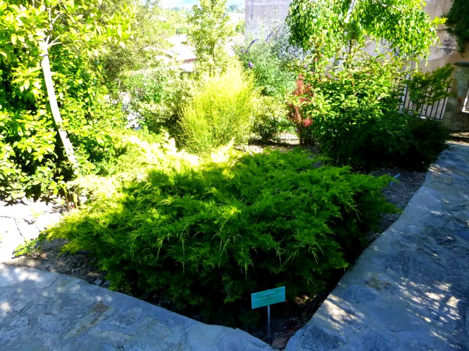 Miranda de Ebro - Centro de Interpretación de la Miranda Antigua (CIMA), Jardín Botánico 34