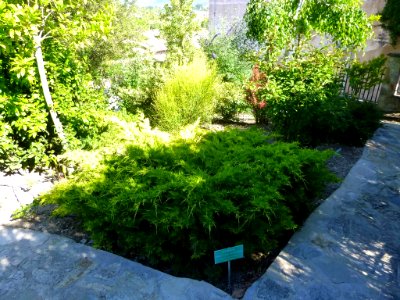 Miranda de Ebro - Centro de Interpretación de la Miranda Antigua (CIMA), Jardín Botánico 34