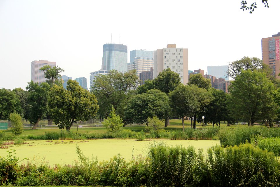Minneapolis skyline from Loring Park, Aug 2018