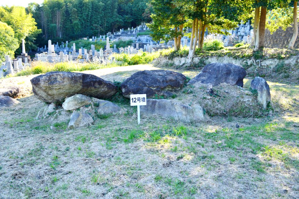 Mino Kofun Group-12, sekishitsu
