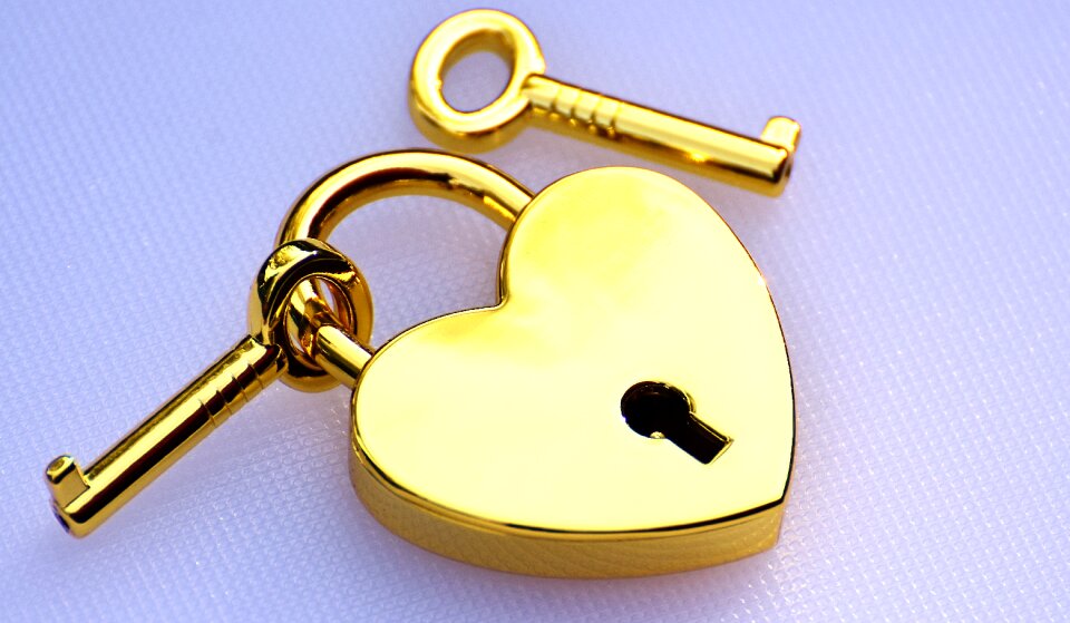 Valentine's day luck symbol