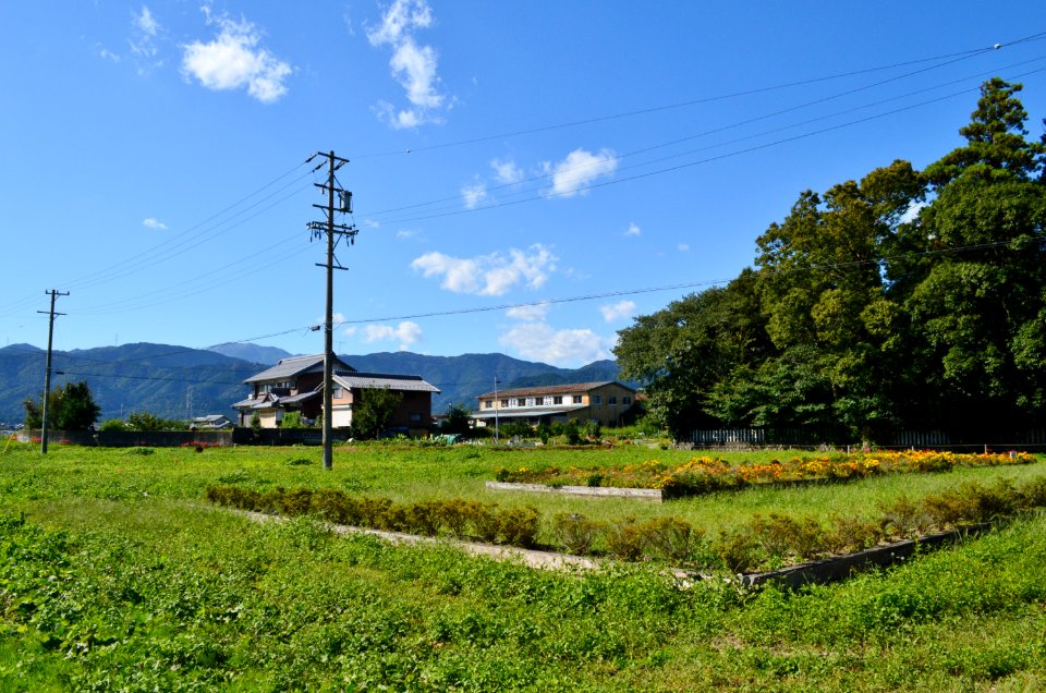 Mino Kokufu-ato, zenkei