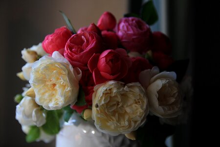 Strauss flowers colorful