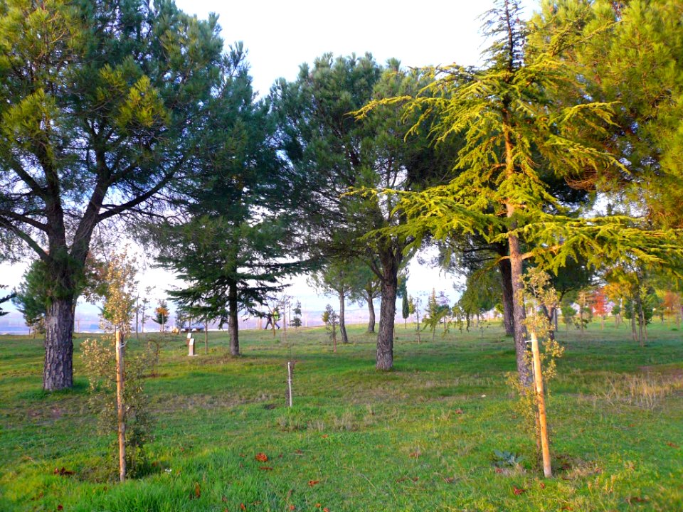 Miranda de Ebro - Cerro de la Picota 04