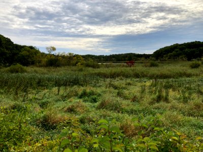 Minnesota Landscape Arboretum Sept 2019 03 - Green Heron Pond