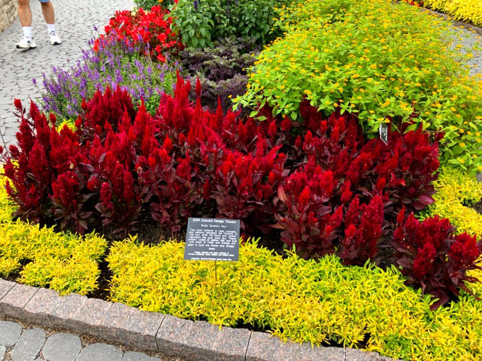 Minnesota Landscape Arboretum Sept 2019 11