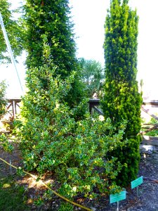 Miranda de Ebro - Centro de Interpretación de la Miranda Antigua (CIMA), Jardín Botánico 33