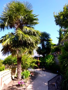 Miranda de Ebro - Centro de Interpretación de la Miranda Antigua (CIMA), Jardín Botánico 24