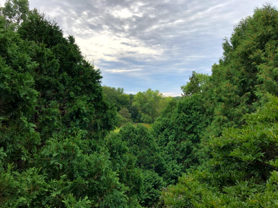 Minnesota Landscape Arboretum Sept 2019 15