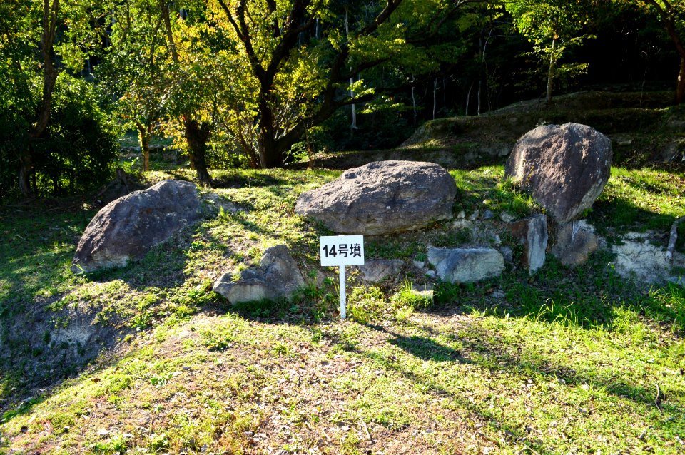 Mino Kofun Group-14, sekishitsu