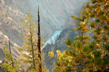 Miscellaneous Location in Yellowstone