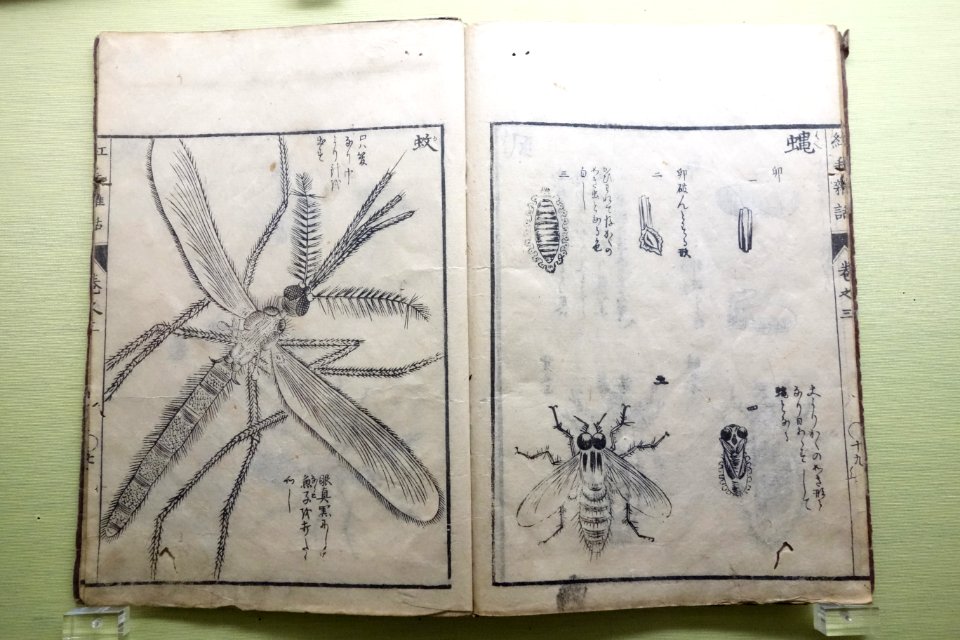 Miscellaneous Accounts of European Nations 1,3,4, compiled by Morishima Churyo, Edo period, dated 1787, ink printed on paper - Tokyo National Museum - DSC05529