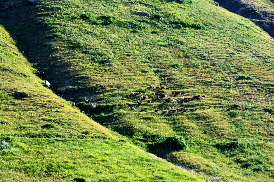 Landscape kaçkars landscapes