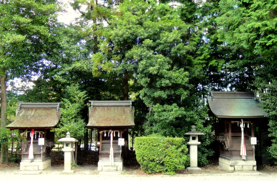 Mio-jinja - Otsu, Shiga - DSC07044