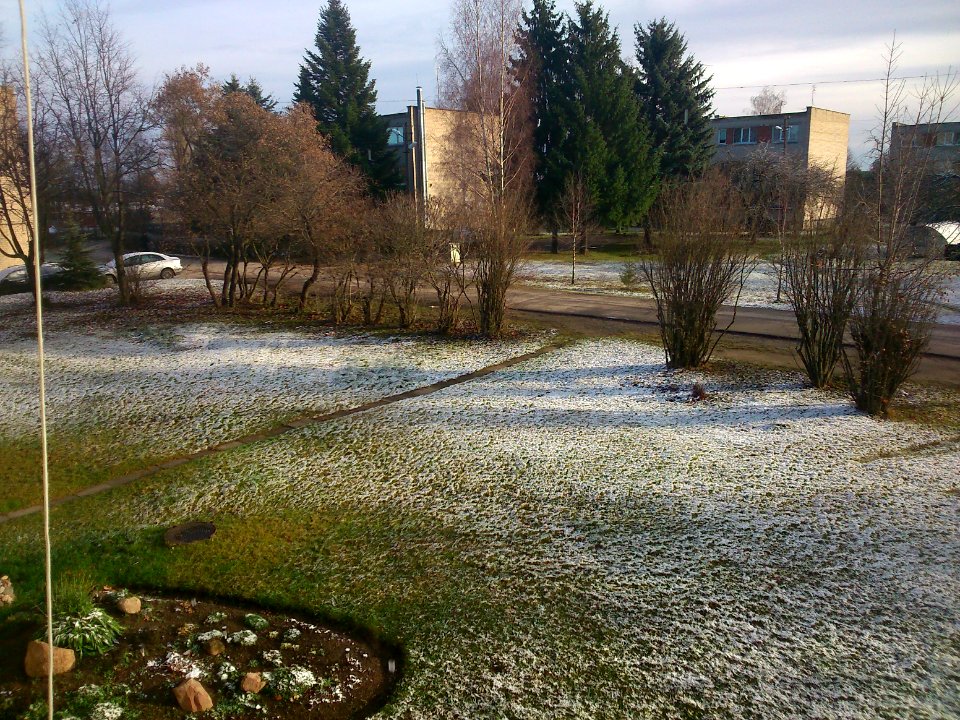 Miskukis (Jonava), Miskininku Str., green field