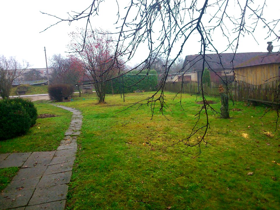 Miskukis (Jonava Miskininku Str. 6