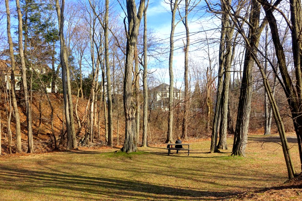 Minuteman Bikeway - Lexington, MA - DSC04554